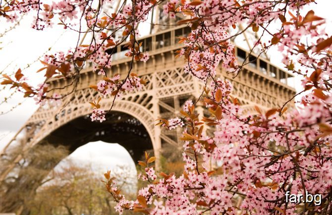 Красотата на Париж