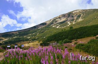 Красотата на Пирин планина